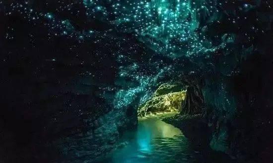 海口吾悦 | 茶乙己低卡推荐:【玉兰观音】